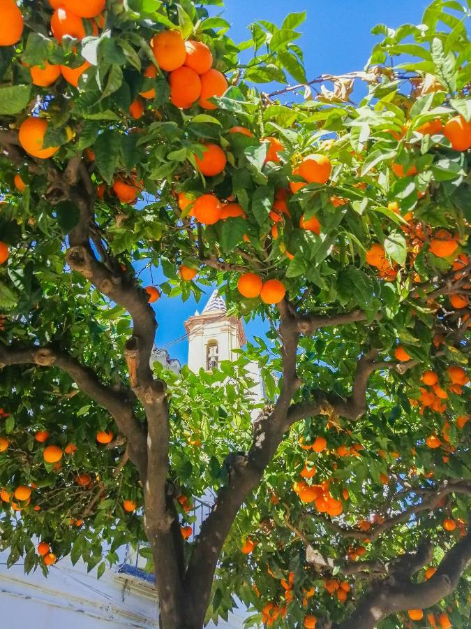Escape To Appartement Estepona